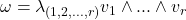 \omega = \lambda_{(1,2,...,r)}v_1\wedge ...\wedge v_r