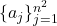 \{ a_j\}_{j=1}^{n^2}