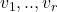 v_1, .., v_r