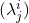 (\lambda_j^i)