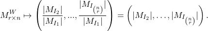 \[M^W_{r\times n} \mapsto \left( \frac{|M_{I_2}|}{|M_{I_1}|}, ...,  \frac{|M_{I_{n\choose r}}|}{|M_{I_1}|}\right) = \left( |M_{I_2}|, …,  |M_{I_{n\choose r}}| \right) .\]