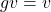 g v = v